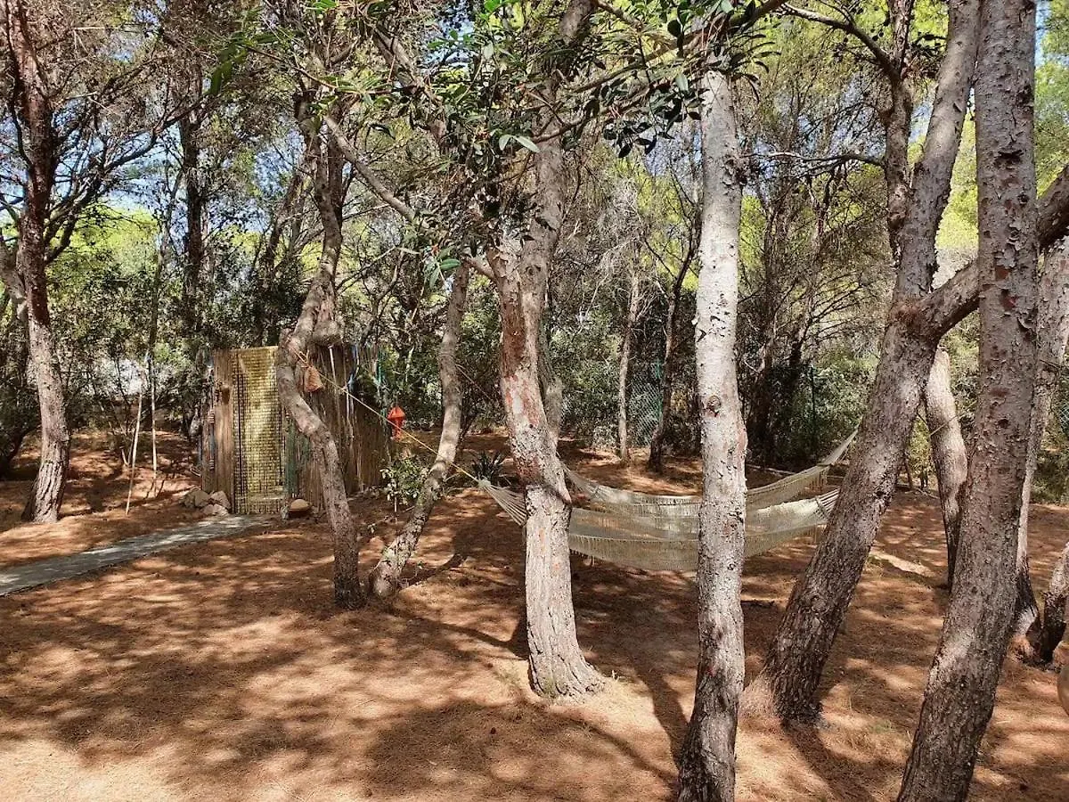 Porto Pineto Villa Indipendente 100 Mt Dal Mare Iunp7395 Porto Pino