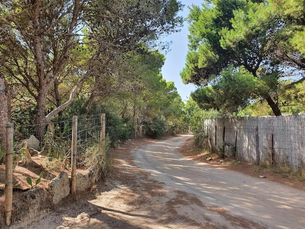 Holiday home Porto Pineto Villa Indipendente 100 Mt Dal Mare Iunp7395 Porto Pino