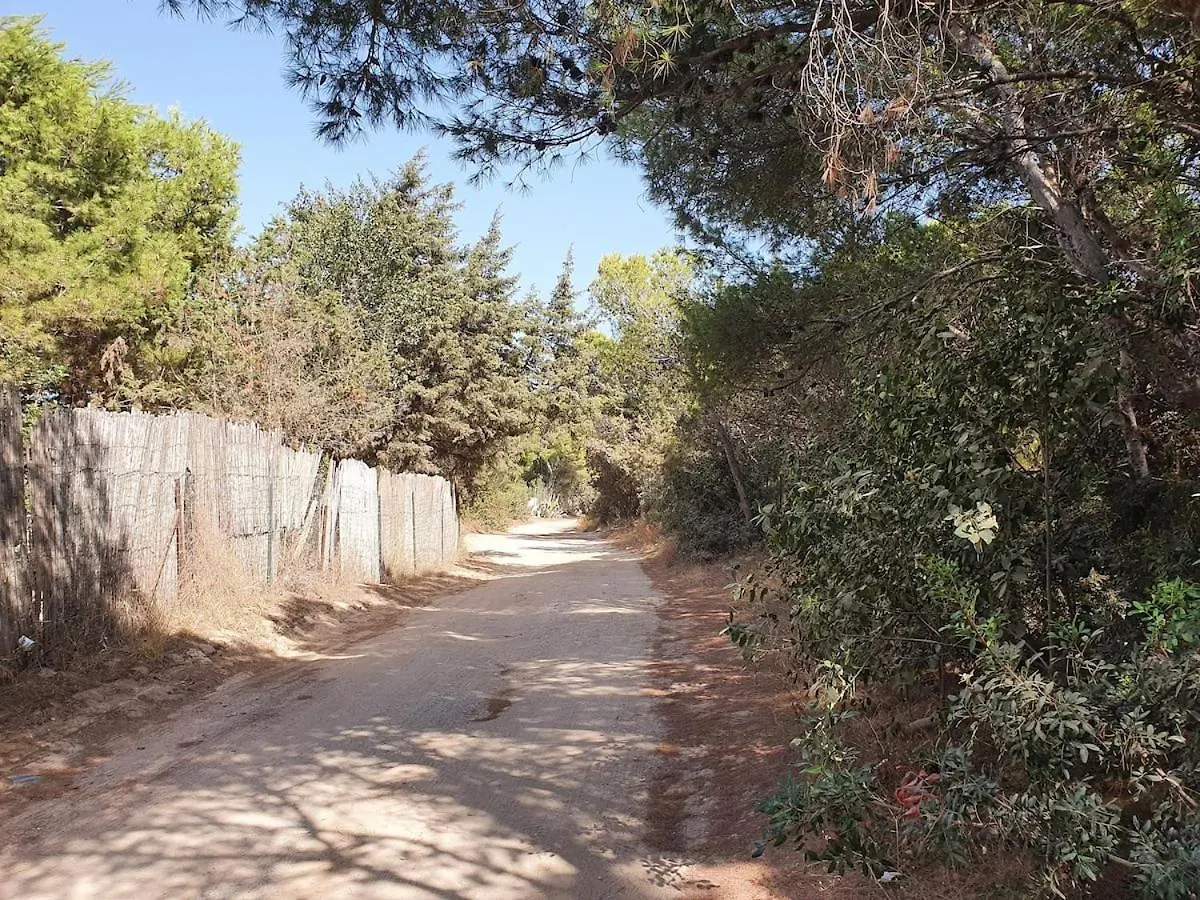 Holiday home Porto Pineto Villa Indipendente 100 Mt Dal Mare Iunp7395 Porto Pino