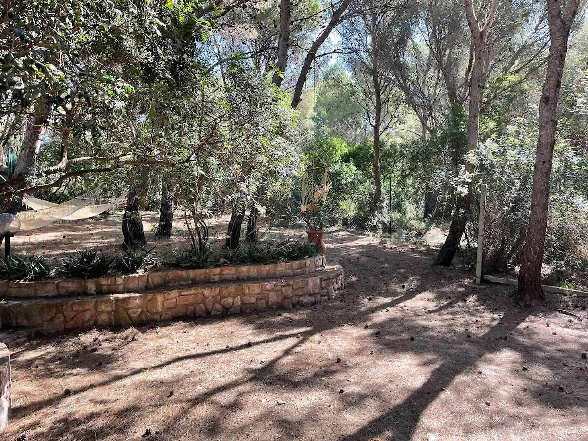 Porto Pineto Villa Indipendente 100 Mt Dal Mare Iunp7395 Porto Pino