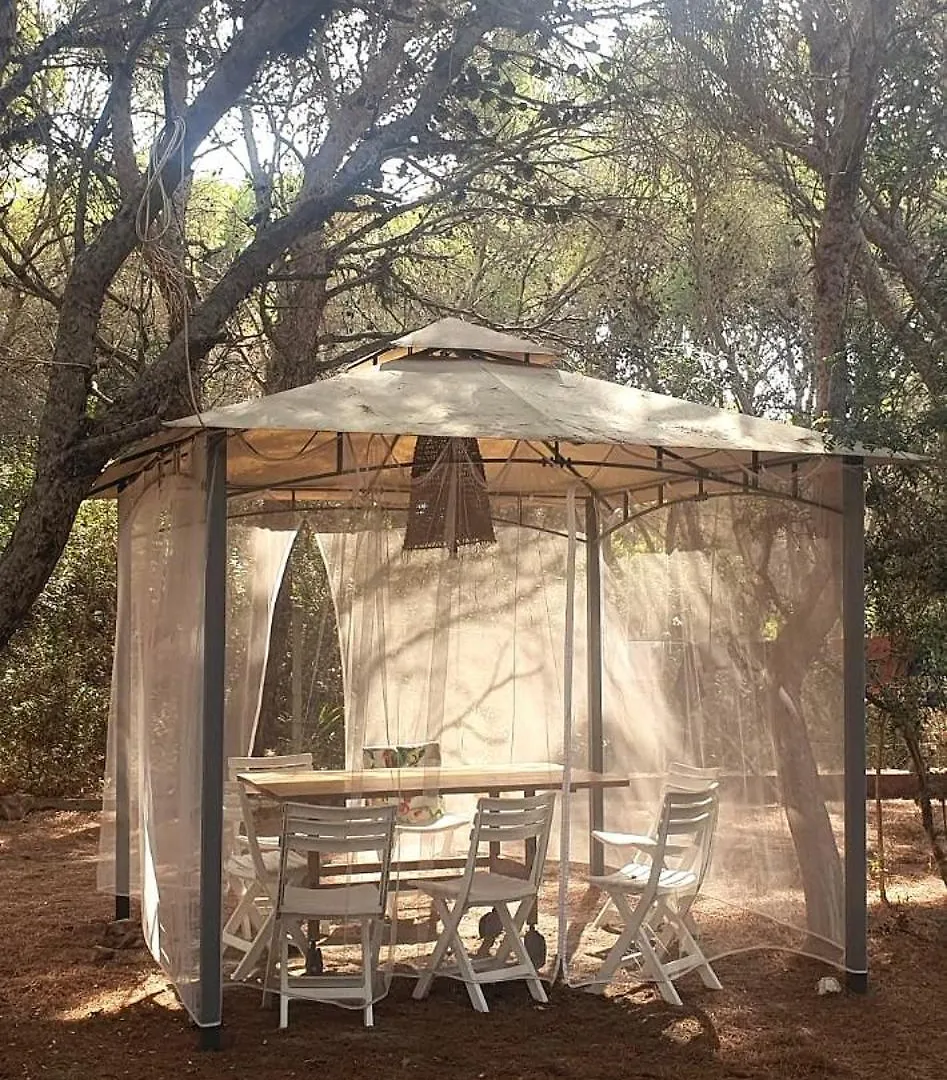 Porto Pineto Villa Indipendente 100 Mt Dal Mare Iunp7395 Porto Pino 0*,